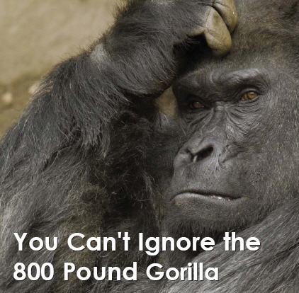 800lb_gorilla 800lb_gorilla