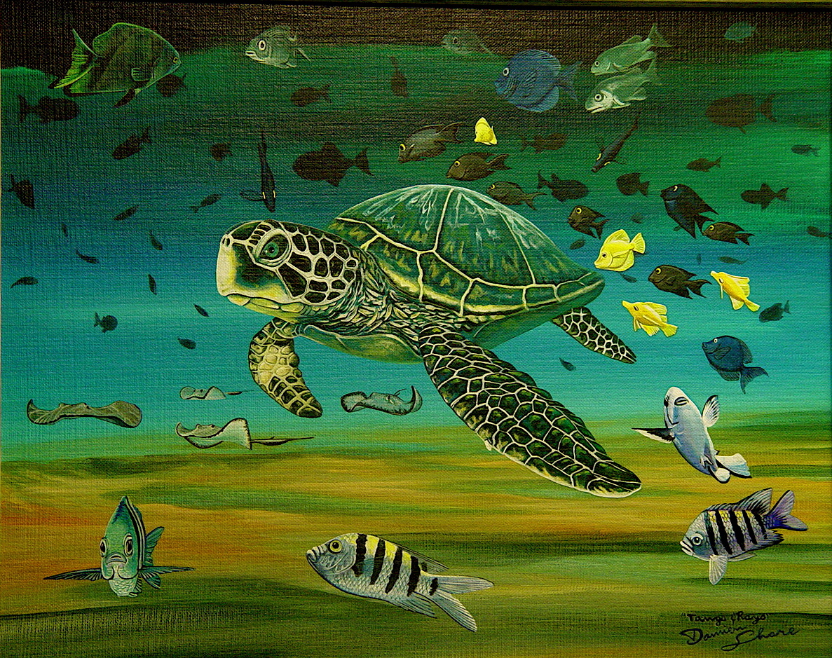 http://www.damienshare.com/ D. Share Art 012