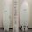 5'5" AR Twinfinja $650
