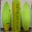 5'9" Fat Cat Green Rocket EPS