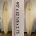 9'0" Coda Longboard EPS