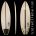 5'6" FW No Brainer EPS