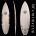 5'8" Jeff Haney Shapes PU