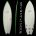 5'9'' Twin Finja EPS